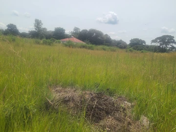 Build your dream home on 3900 square metres in Norton, Old Galloway